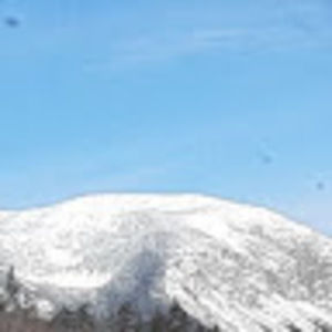 Meet your Posher, Jack